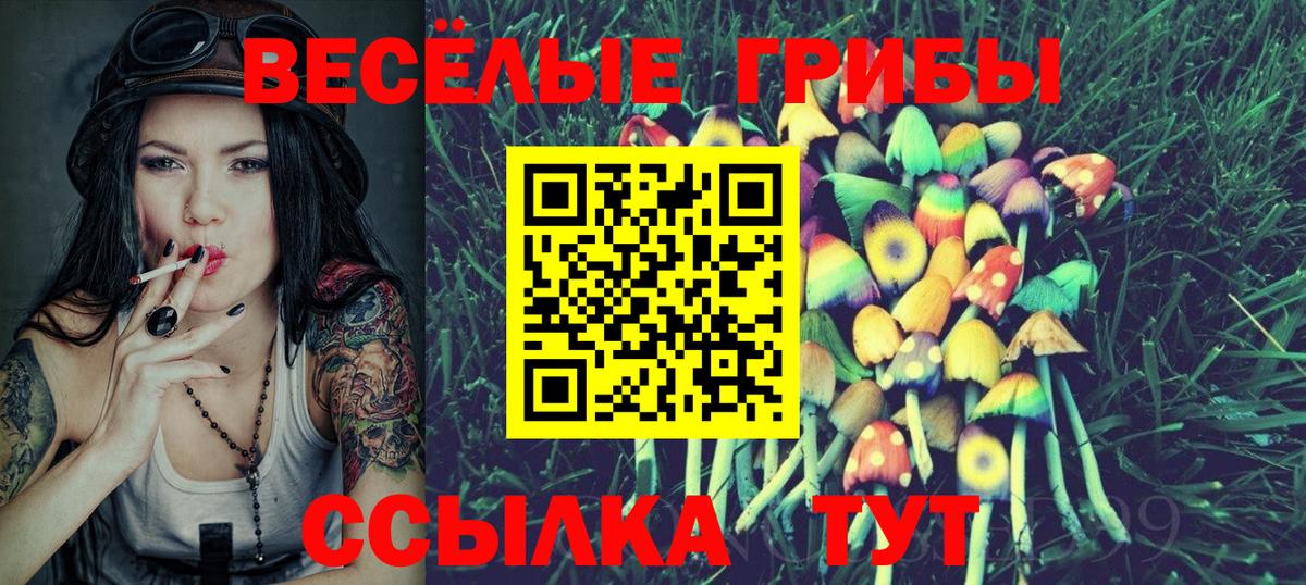 Псилоцибиновые грибы GOLDEN TEACHER Екатеринбург