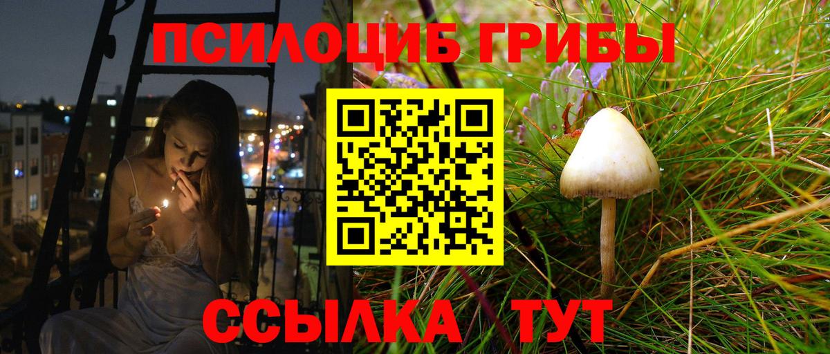 Екатеринбург  Псилоцибиновые грибы мицелий  Вход с VPN 